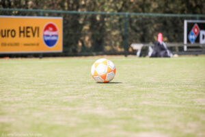 IMG 1114